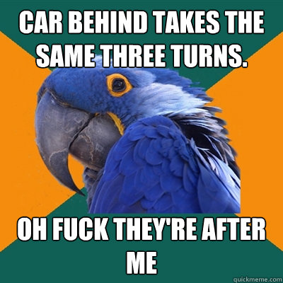 Car behind takes the same three turns. Oh fuck they're after me  Paranoid Parrot
