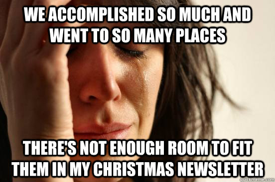 We accomplished so much and went to so many places There's not enough room to fit them in my Christmas newsletter  First World Problems