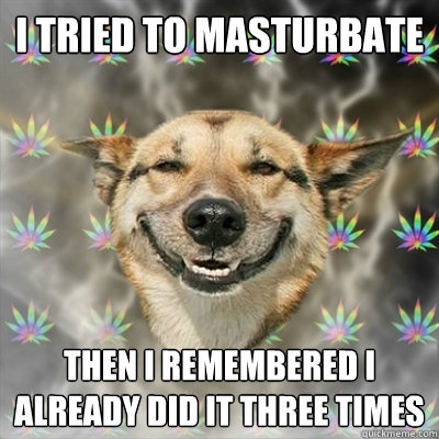 I tried to masturbate Then I remembered I already did it three times  Stoner Dog