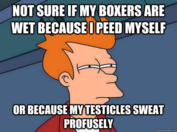 Not sure if my boxers are wet because I peed myself or because my testicles sweat profusely   Futurama Fry