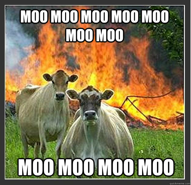 Moo moo moo moo moo moo moo moo moo moo moo  Evil cows