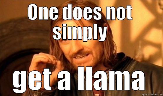ONE DOES NOT SIMPLY GET A LLAMA Boromir