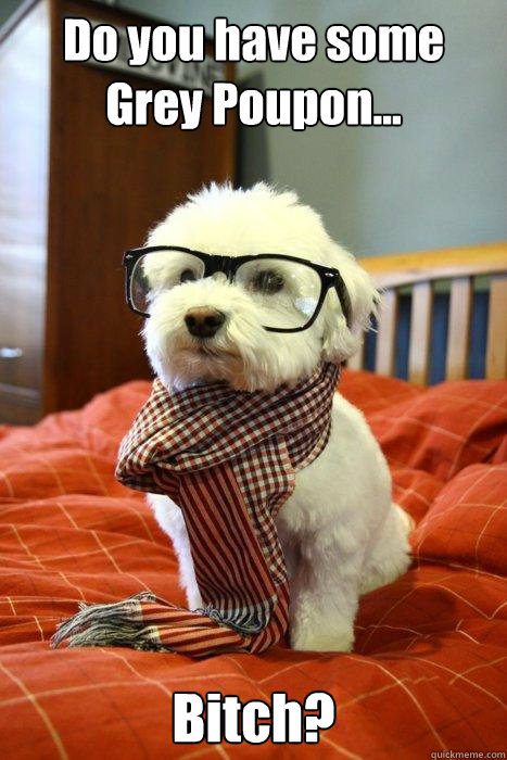 Do you have some Grey Poupon... Bitch?  Hipster Dog
