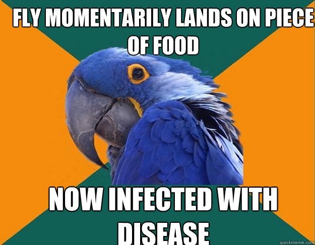 Fly momentarily lands on piece of food Now infected with disease  Paranoid Parrot