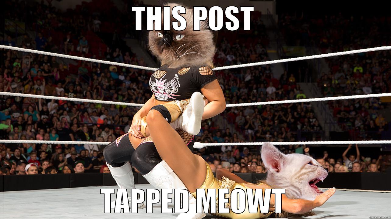 THIS POST TAPPED MEOWT Misc