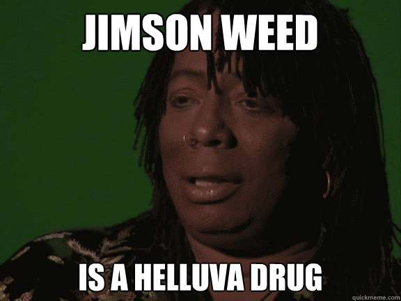 jimson weed is a helluva drug  