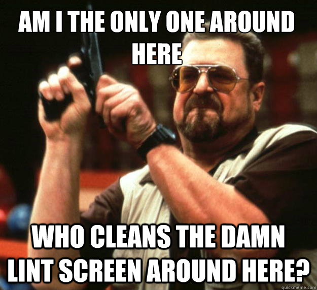 Am I the only one around here who cleans the damn lint screen around here?  Walter