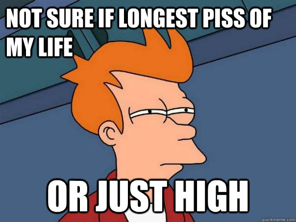 Not sure if longest piss of my life Or just high  Futurama Fry