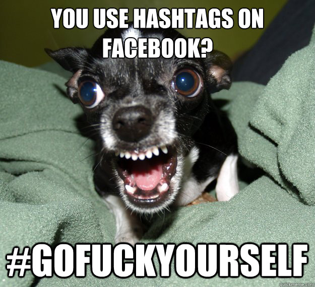 You use hashtags on facebook? #GOFUCKYOURSELF  Chihuahua Logic