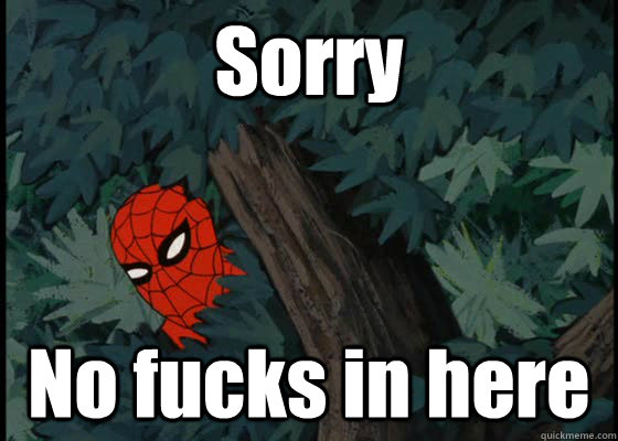 Sorry No fucks in here  60s Spiderman