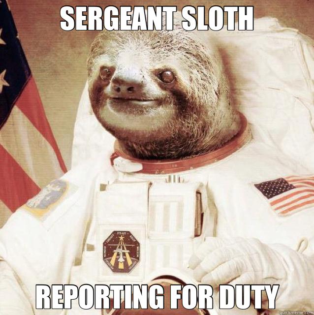 SERGEANT SLOTH REPORTING FOR DUTY - SERGEANT SLOTH REPORTING FOR DUTY  sergeant sloth