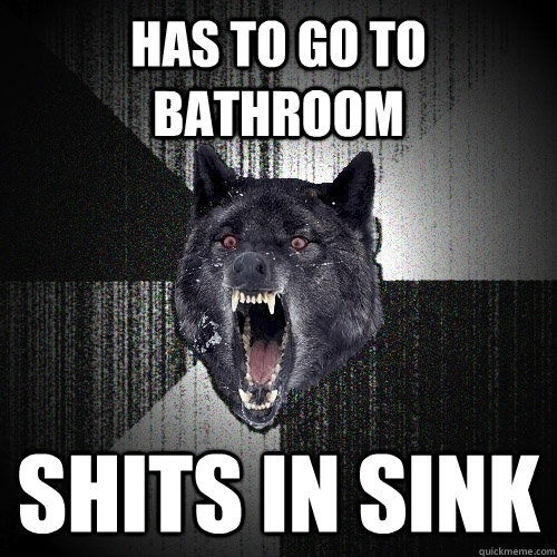 has to go to bathroom shits in sink  Insanity Wolf