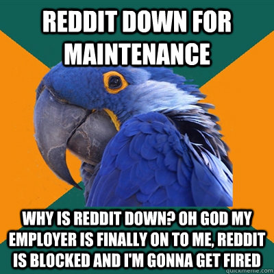 Reddit down for maintenance why is reddit down? Oh god my employer is finally on to me, reddit is blocked and i'm gonna get fired  Paranoid Parrot