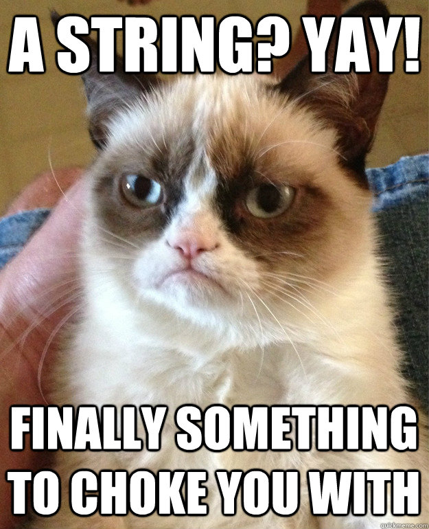 A string? Yay! Finally something to choke you with  - A string? Yay! Finally something to choke you with   Grumpy Cat