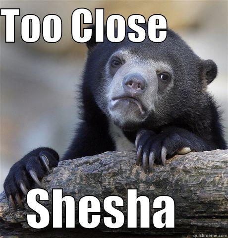 TOO CLOSE         SHESHA   Confession Bear