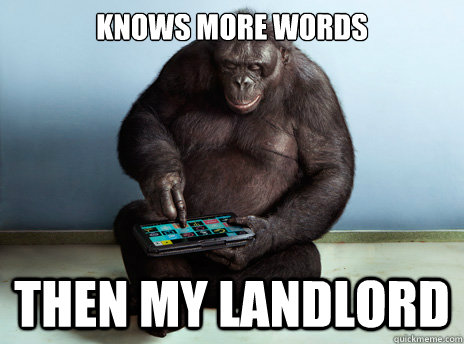 knows more words then my landlord  Good Guy Bonobo