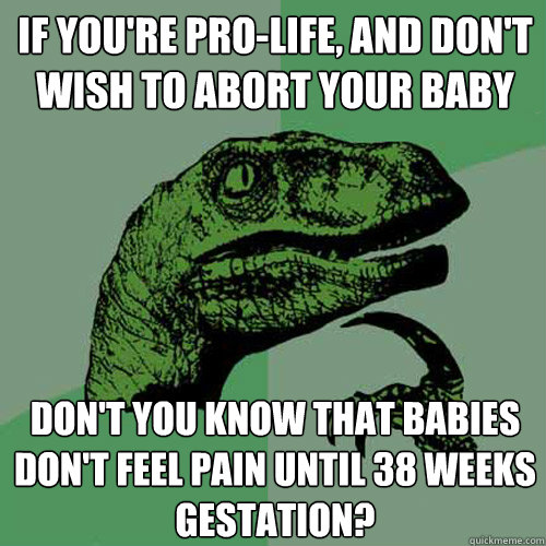 If you're pro-life, and don't wish to abort your baby Don't you know that babies don't feel pain until 38 weeks gestation? - If you're pro-life, and don't wish to abort your baby Don't you know that babies don't feel pain until 38 weeks gestation?  Philosoraptor