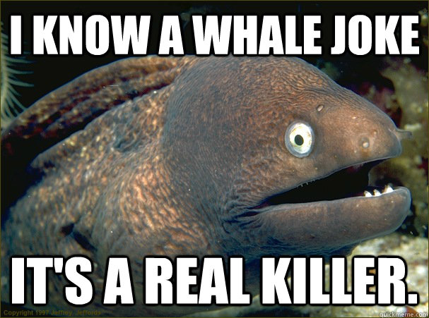 I know a whale joke It's a real killer.  Bad Joke Eel