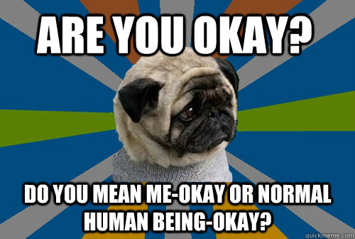 Are you okay? Do you mean me-okay or normal human being-okay?  Clinically Depressed Pug