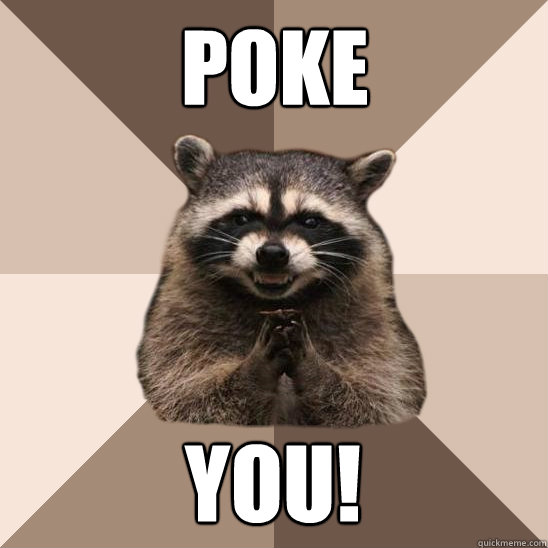 POKE YOU!  Evil Plotting Raccoon
