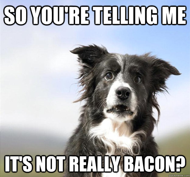 So you're telling me it's not really bacon? - So you're telling me it's not really bacon?  Shocked Dog
