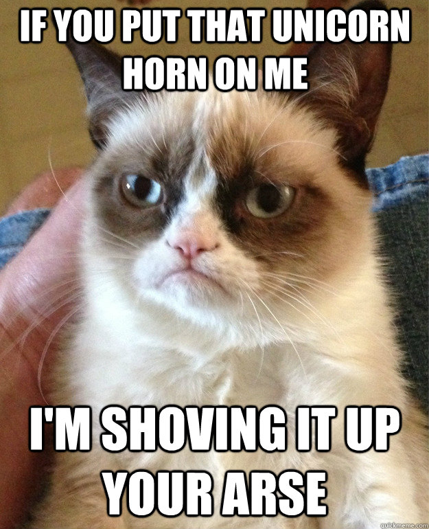 If you put that unicorn horn on me I'm shoving it up your arse  Grumpy Cat