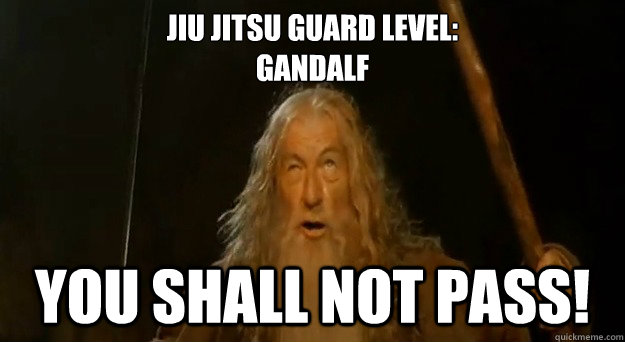 Jiu Jitsu Guard level:
Gandalf YOU SHALL NOT PASS!  