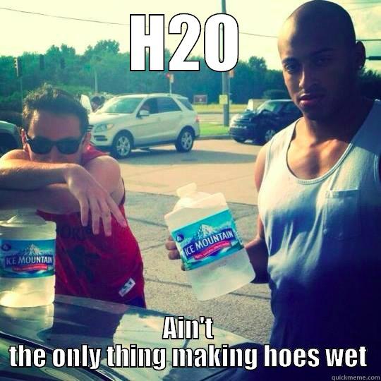 H2O AIN'T THE ONLY THING MAKING HOES WET Misc