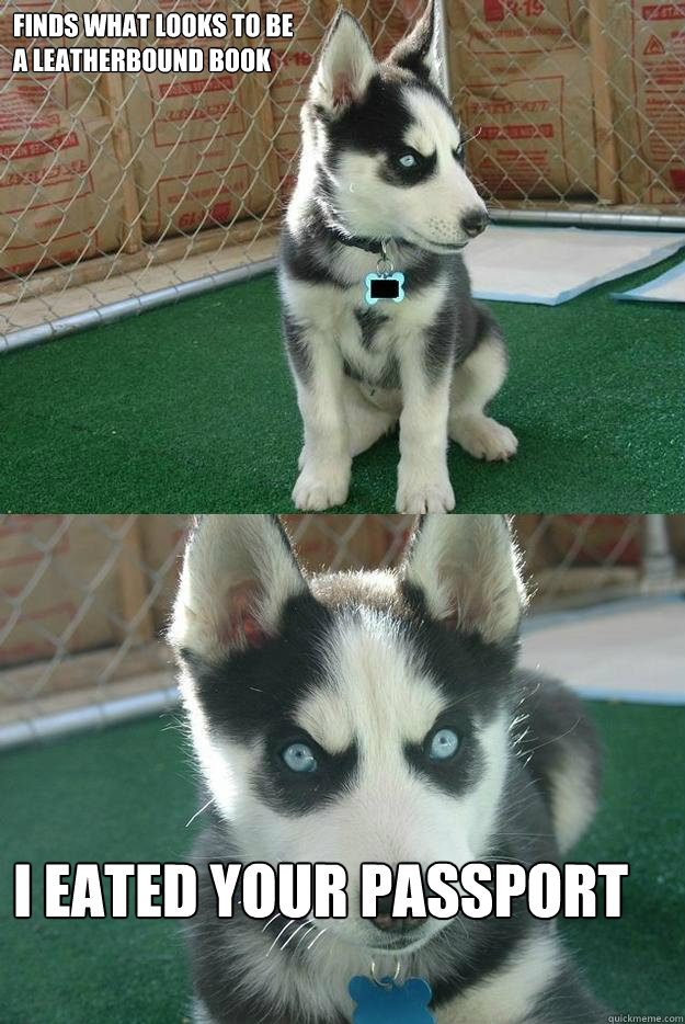 Finds what looks to be
a leatherbound book I EATED YOUR PASSPORT  Insanity puppy