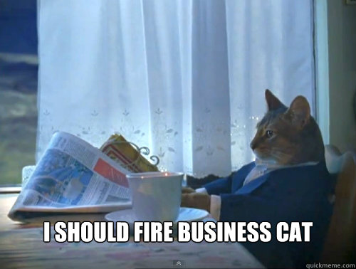  I should fire business cat  The One Percent Cat