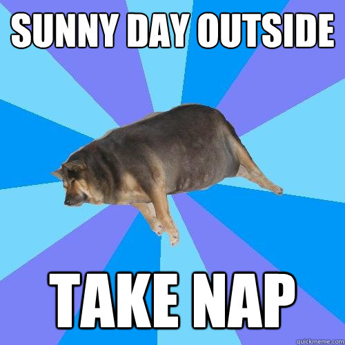 sunny day outside take nap - sunny day outside take nap  Lazy college student