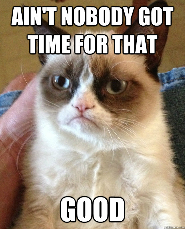 Ain't Nobody Got Time For THAT GOOD  grumpycat