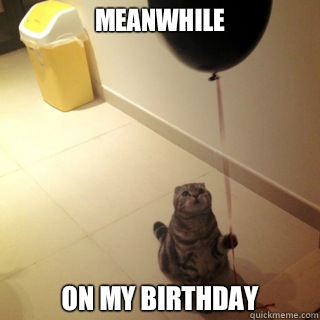 Meanwhile On my birthday  Sad Birthday Cat