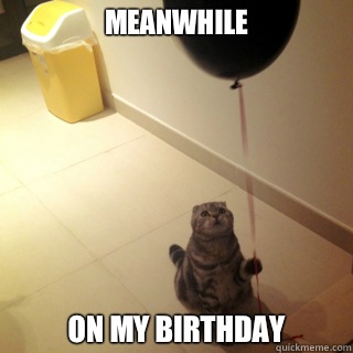 Meanwhile On my birthday - Meanwhile On my birthday  Sad Birthday Cat