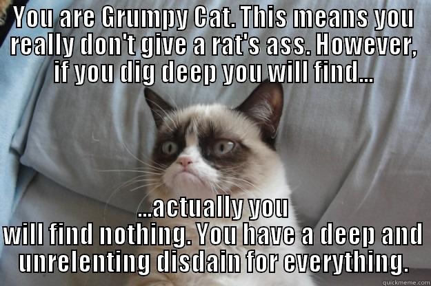YOU ARE GRUMPY CAT. THIS MEANS YOU REALLY DON'T GIVE A RAT'S ASS. HOWEVER, IF YOU DIG DEEP YOU WILL FIND... ...ACTUALLY YOU WILL FIND NOTHING. YOU HAVE A DEEP AND UNRELENTING DISDAIN FOR EVERYTHING. Grumpy Cat