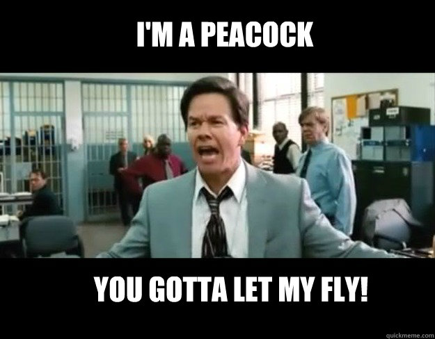 I'm a peacock You gotta let my fly! - I'm a peacock You gotta let my fly!  Mark Wahlberg Fail