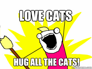 Hug all the cats! Love cats  All The Thigns