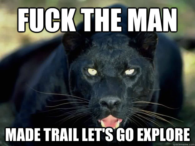 Radical Black Panther memes | quickmeme
