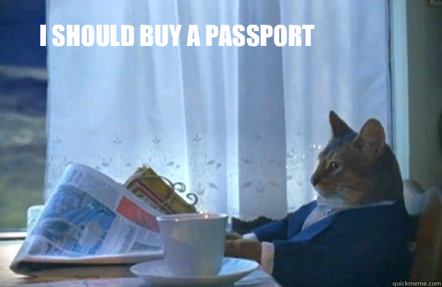 I should buy a passport  Sophisticated Cat