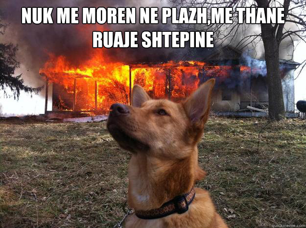 nuk me moren ne plazh,me thane ruaje shtepine   Bad Dog