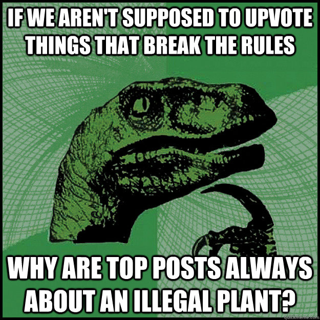 if we aren't supposed to upvote things that break the rules why are top posts always about an illegal plant? - if we aren't supposed to upvote things that break the rules why are top posts always about an illegal plant?  New Philosoraptor