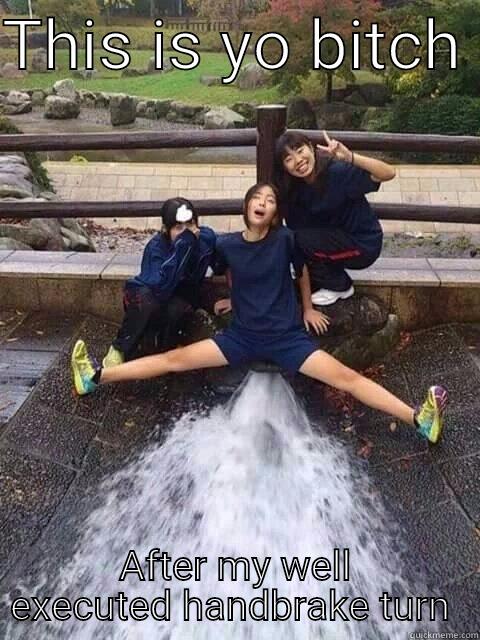 THIS IS YO BITCH  AFTER MY WELL EXECUTED HANDBRAKE TURN  Misc