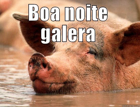BOA NOITE GALERA  Stoner Pig