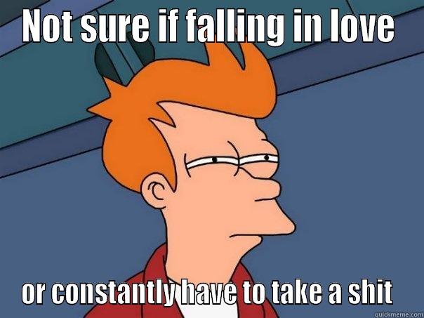 NOT SURE IF FALLING IN LOVE OR CONSTANTLY HAVE TO TAKE A SHIT  Futurama Fry