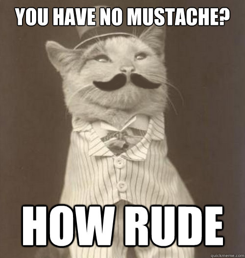 you have no mustache? how rude  Original Business Cat