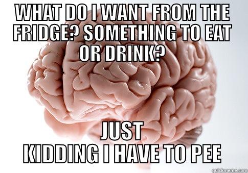 WHAT DO I WANT FROM THE FRIDGE? SOMETHING TO EAT OR DRINK? JUST KIDDING I HAVE TO PEE Scumbag Brain