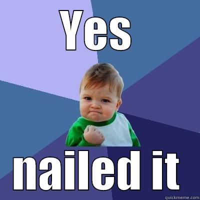 YES NAILED IT Success Kid