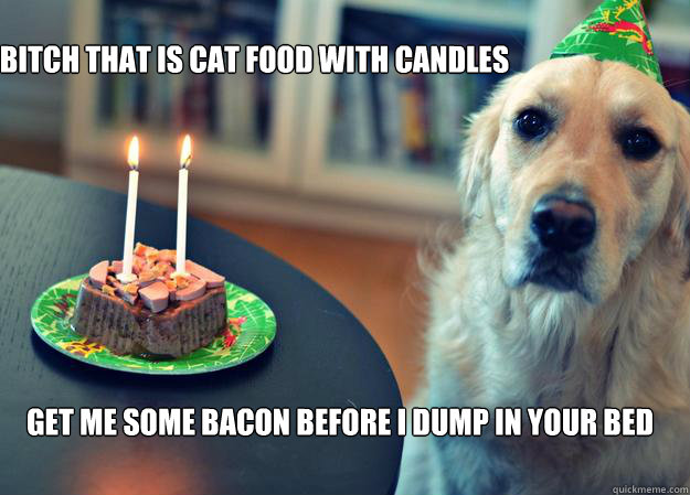 BITCH THAT IS CAT FOOD WITH CANDLES GET ME SOME BACON BEFORE I DUMP IN YOUR BED - BITCH THAT IS CAT FOOD WITH CANDLES GET ME SOME BACON BEFORE I DUMP IN YOUR BED  Sad Birthday Dog
