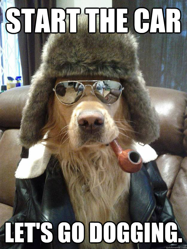 Start the car Let's go dogging. - Start the car Let's go dogging.  Overly Suave Dog