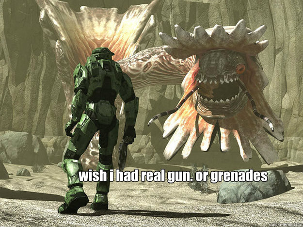 wish i had real gun. or grenades 4 that matter.  Halo 4